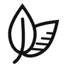 LeadMint